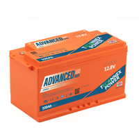 Teconnex Power Advanced 100 Leisure Lithium Battery 12.8V