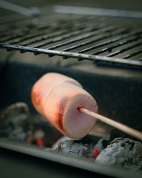 The Nomads Kitchen - BBQ Briefcase | Portable Charcoal Camping Grill