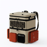 Compact Fridge Freezer Backpack by That Leisure Shop