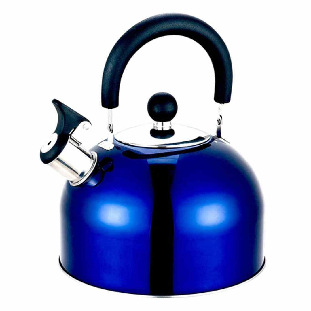 OLPRO - 2 Litre Stainless Steel Whistling Kettle (Blue) | OL513B