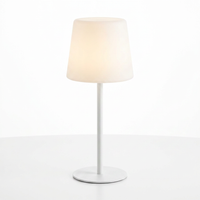 AURA Lamp by That Leisure Shop