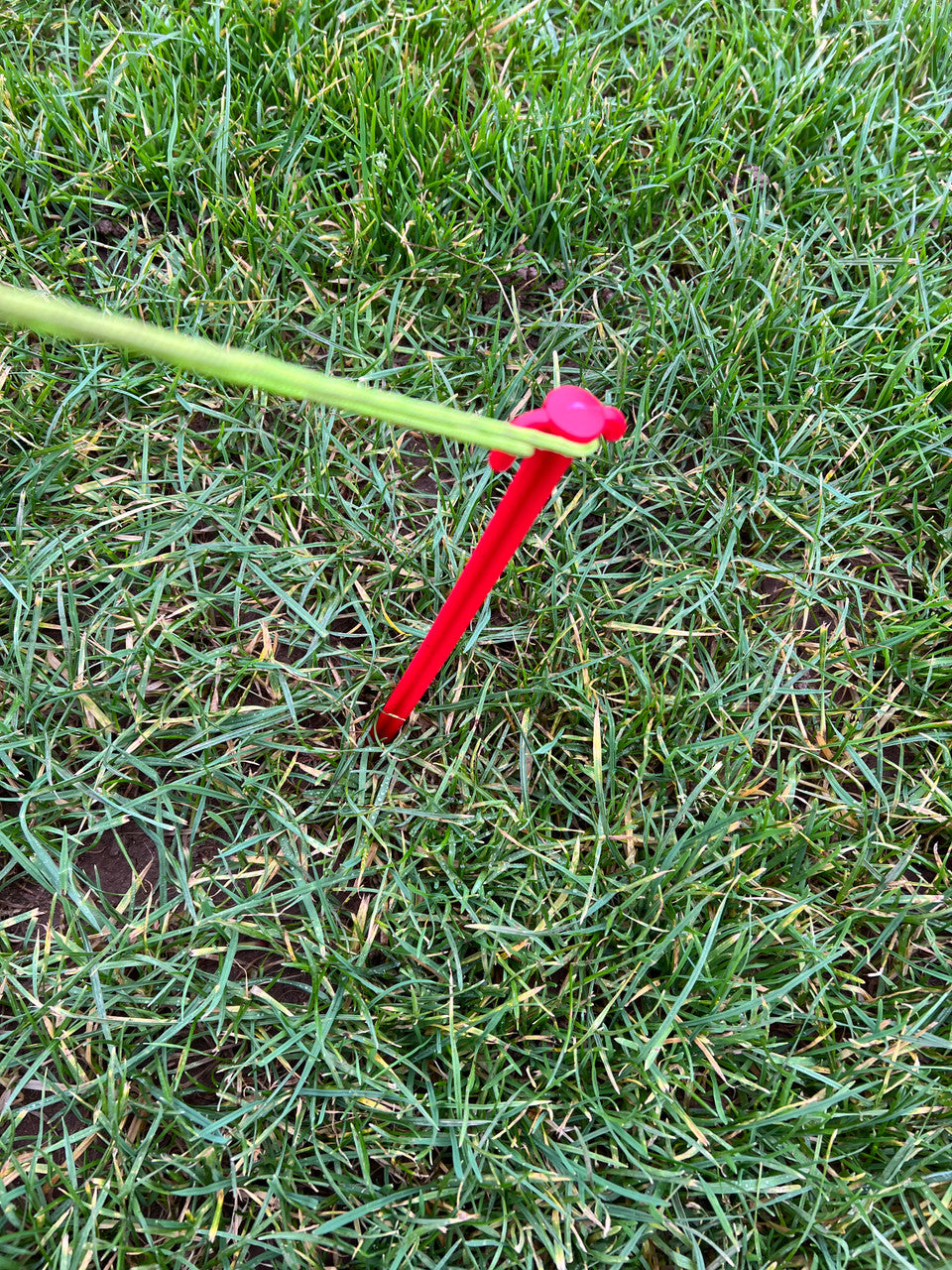 OLPRO - Pack of 6 Extra long 30cm Plastic Tent Pegs | OL520